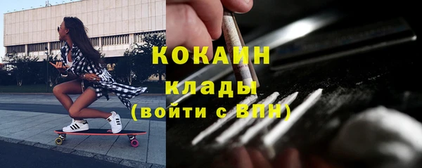 ПСИЛОЦИБИНОВЫЕ ГРИБЫ Бородино