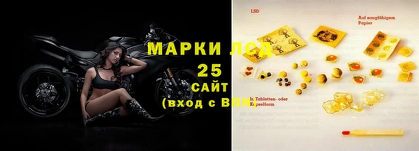 ПСИЛОЦИБИНОВЫЕ ГРИБЫ Бородино