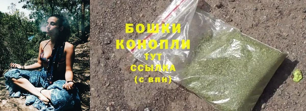 прущие грибы Верхнеуральск