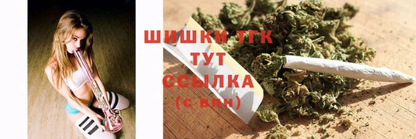 ПСИЛОЦИБИНОВЫЕ ГРИБЫ Бородино