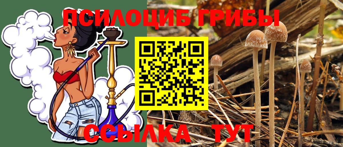 Мончегорск  Галлюциногенные грибы GOLDEN TEACHER  Вход с VPN  Галлюциногенные грибы Psilocybe 
