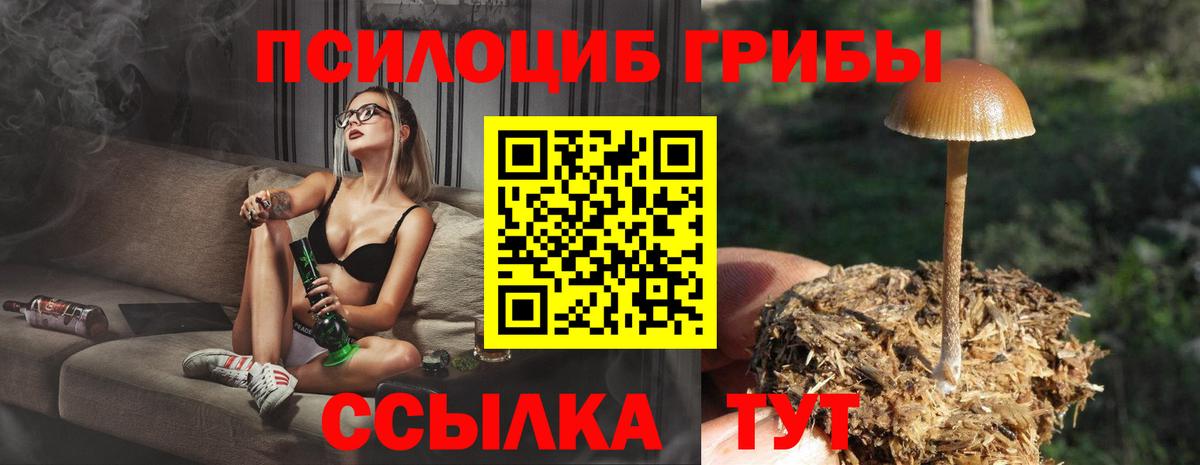 Псилоцибиновые грибы ЛСД Мончегорск